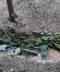 ɭ�����ɽ����Բ��С����14�������£�6��Сʱ20000��