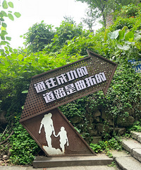 天朗气清,走走停停