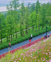 ��ɿ�Խ��Խ�˾��ˣ����·������ï�����ʺ�¶Ӫ