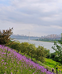 ��ɿ�Խ��Խ�˾��ˣ����·������ï�����ʺ�¶Ӫ