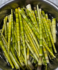 ��һ������Ĵ���