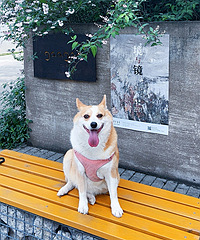 ��һ��С�����˽�ɽ���