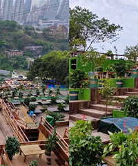 ����ɽ���̡�����ɣ�����´ӹ�ͺͺ��ò��͵���