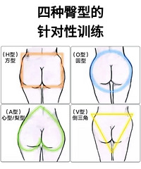 4种臀型的针对性训练计划来了,对号入座,看看哪种适合你