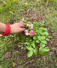 ֱ������С���̻������¼�