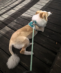 �����߶�2���ҵ���������