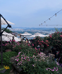 ��һ�һ������