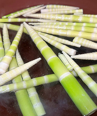 �Ѵ���Խ�������������ӣ������������㹽��