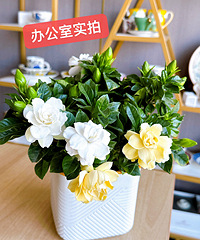 ���ӻ�����29.9Ԫ2��