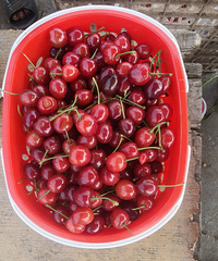 ���ڽ���