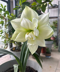 �춥�쿪�������þ��Ķ���