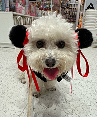 �ҵġ���߸��С�����ÿɰ�