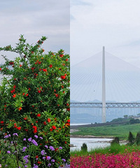 大渡口滑石滩到白居寺大桥沿线好美
