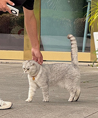 ճ�˵��������㱻����