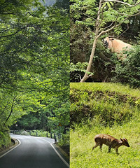 唐家河野生动物之旅,太适合小朋友了