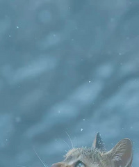 �þ�û�����֮10:Ů��֪���Ժ�