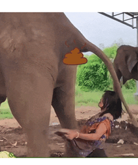 �Ϻ������۵ĸ��˳Դ���ʺ�¼�������Ǯ�˵�����˰