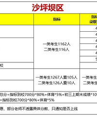沙坪坝2025指标到校划线情况