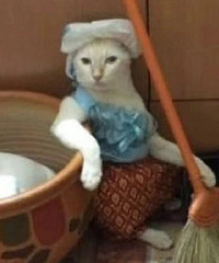 �����ǰ���Ů��ס����ĸ��Һ��ҷ����Ѿ�����