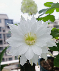 һ��һ�������򿪻���