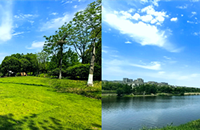 �������˱���¶Ӫ�أ���ȱ�㲢�棬�пտ���ȥ����