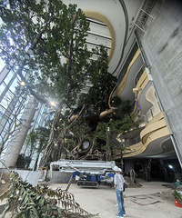 �⻷��԰���ڲ����µ��գ��޴���ľ���Ժã�׳��