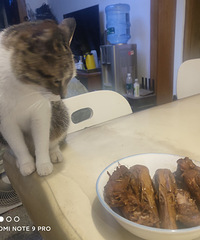 �����±ζ�ù��Լ���ʵ��±ζ����