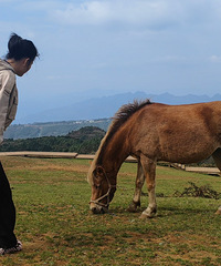 88155CMŮ游׵ĴҵС飬ϣԷ
