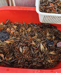 ����С��Ϻβ����ζ����