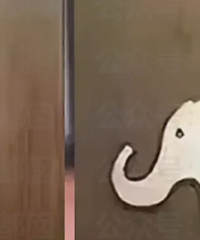 女网红因看不懂男女厕所标志走错