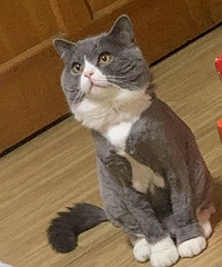 è��ë��ö�׸��Ҫ������