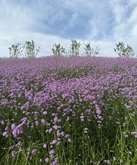 �򿨳�������Ƭ��ɫ���޲�