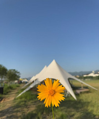 ��ĩ��ȷ�򿪷�ʽ������BBQ�Բ����Ұ������