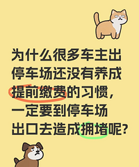 Ϊʲô�ܶ೵����ͣ������������ǰ�ɷ�