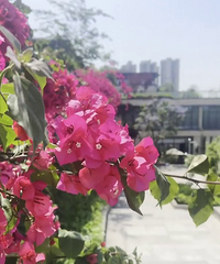 �����ļ�϶���Ƕ�����Ƭ����÷��