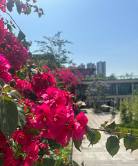 �����ļ�϶���Ƕ�����Ƭ����÷��