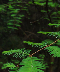 ͽ���������ɵ���¹ƺ��ȷʵ��һ���ļ���ֵ����