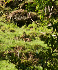 ����3���У��ƼҺ����ӹ�����