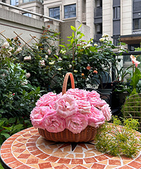 �ھӲ����Ͳ��ͻ����ͻ���