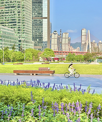 �������޹�԰��Ƭ������������ͣ�����³����ǹ㳡