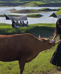 最近爆火!重庆版“阿勒泰”