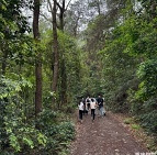 穿越森林的铁山坪步道