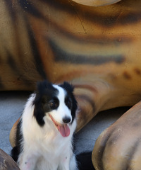 ���˹⻷���ϲˡ�ᰡ������ϲ�������������