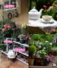 ��̨Ҳ�ܵ���԰������������ƺ���������