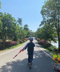 ���������ı����������ϸ���������