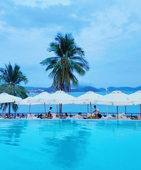 93155CMýҵ飬ϣԷñҴ