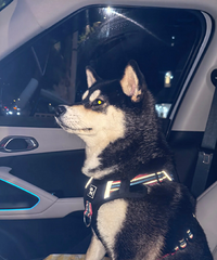 ���츱��ʻ��������۷���֮ǰ��С��ʱ��û���