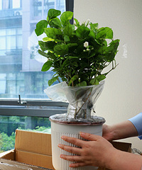 ��ˮ��������29.9/��