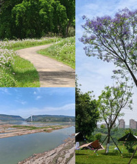 �����ҵ��˹�������ȷ�Ĵ򿪷�ʽ