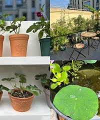 ���������30ƽ¶̨����С��԰��ȫ����